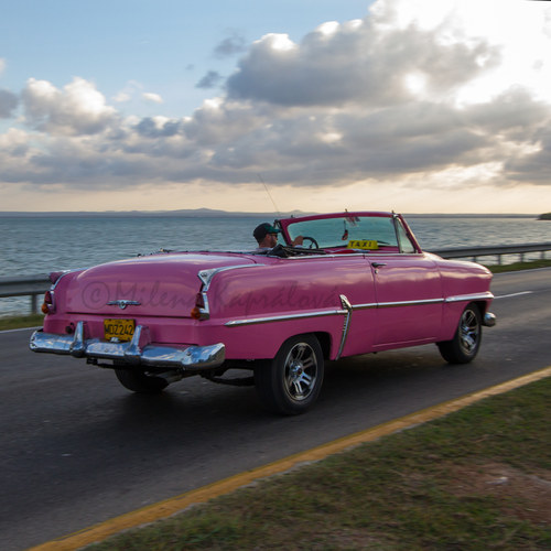 Taxi