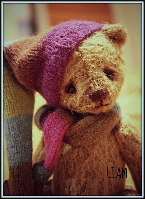 LIAM — foto 1