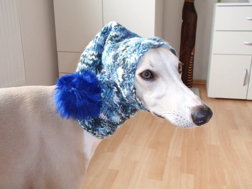 Kulíšek - ballyhone rainbow blue — foto 1