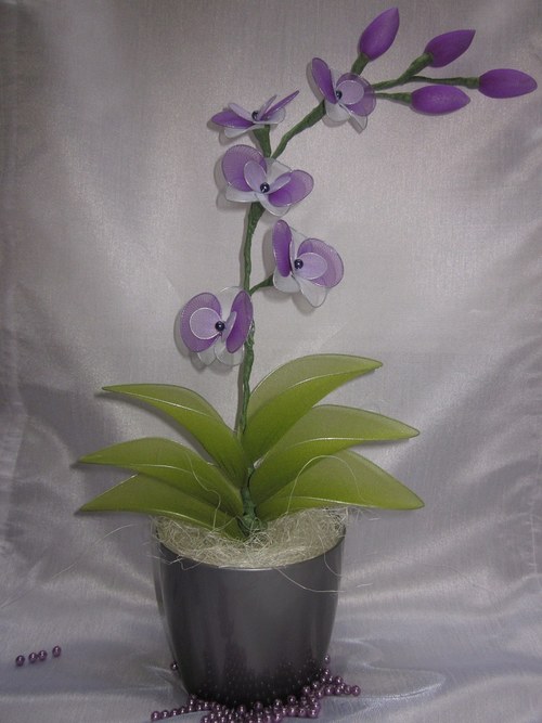 ***Fialovo-Bílá Orchidej*** — foto 1