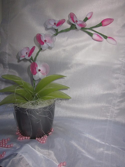 ***BÍLO-RŮŽOVÁ ORCHIDEJ*** — foto 1
