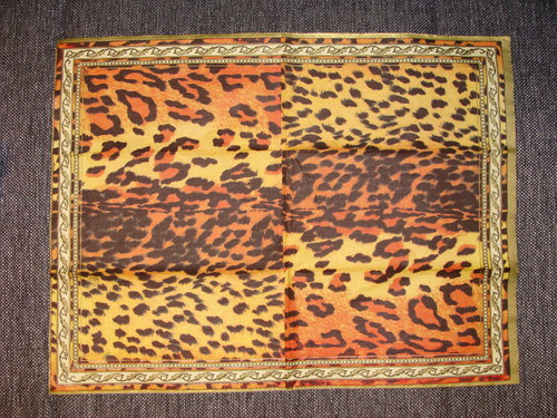 Gepard skvrny