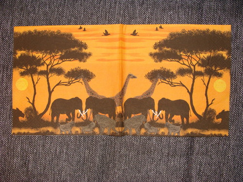 Safari I. — foto 1