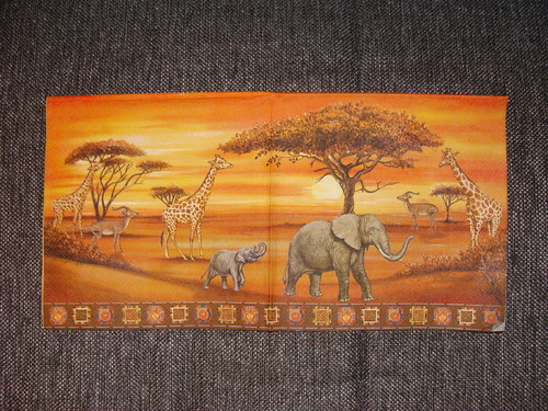 Safari II.