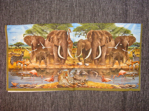 Safari IV.