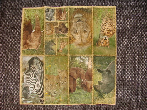 Safari V. — foto 1