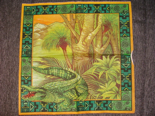 Krokodýl