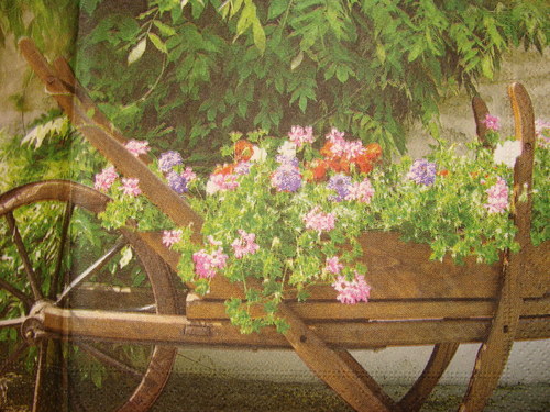 Rozkvetlý trakař — foto 1