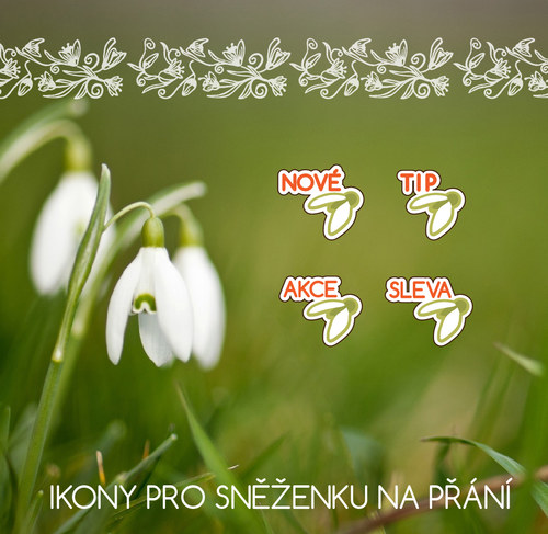 Ikony na přání — foto 1