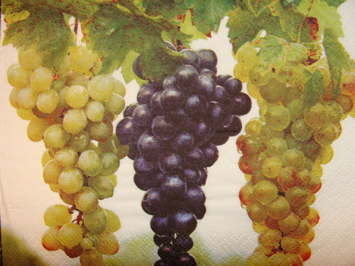 Hrozny I. — foto 1
