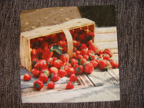 Jahody I. — foto 1