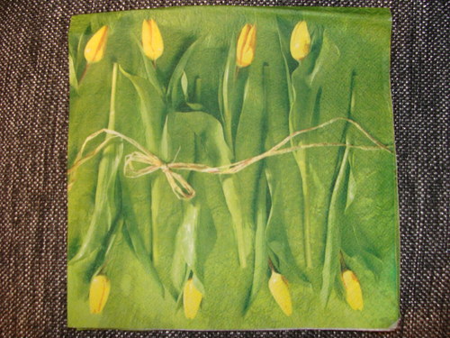 Žluté tulipány IV.