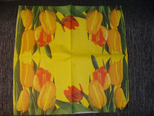 Žluté tulipány III.