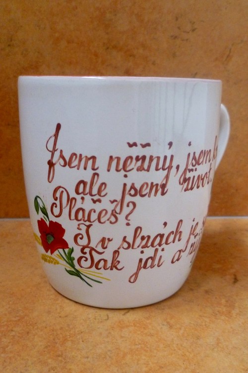 Jsem něžný — foto 1