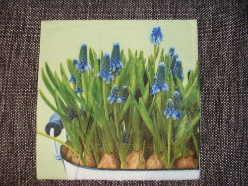 Modřence — foto 1