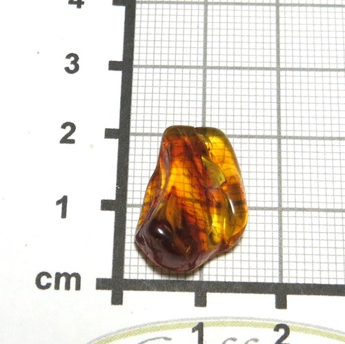R Přírodní Jantar - Litva č.014 — foto 1