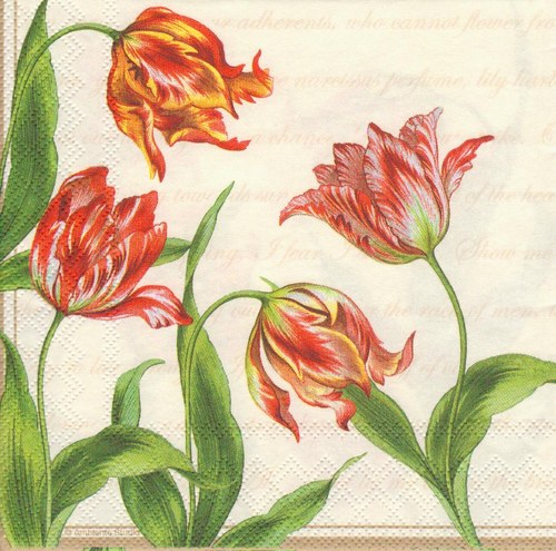 Ubrousek - tulipány
