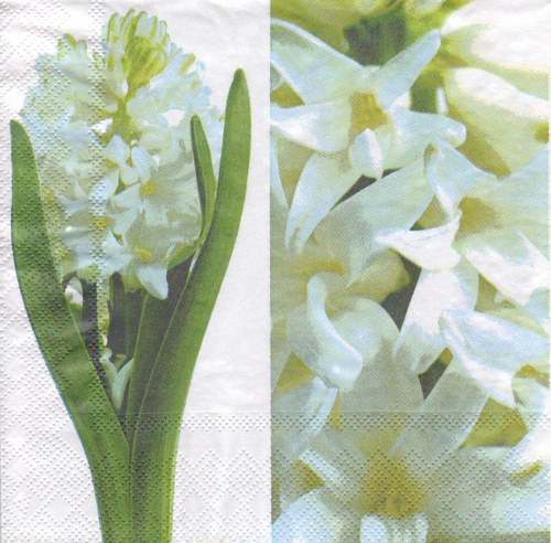 Ubrousek - hyacinty (2 ks - AKCE)