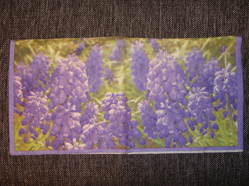 Modřence — foto 1