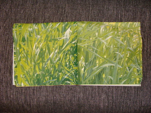 Tráva — foto 1