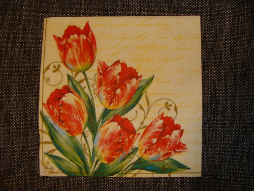 Červené tulipány — foto 1