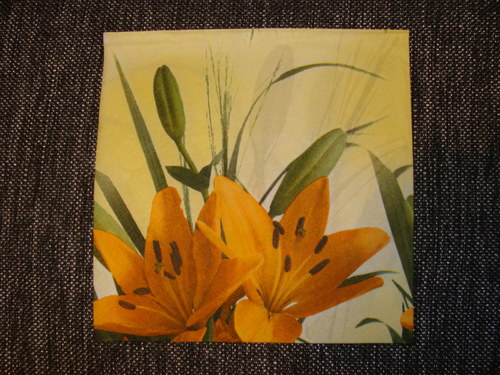 Oranžové lilie — foto 1