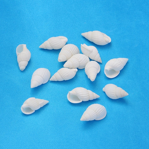 Přívěsek Přírodní mušle, 19-21mm (10ks) - bělená