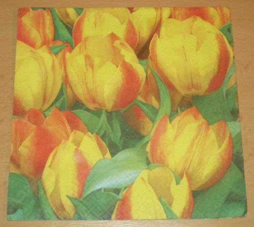 Ubrousek pro další tvoření – motiv : Tulipány