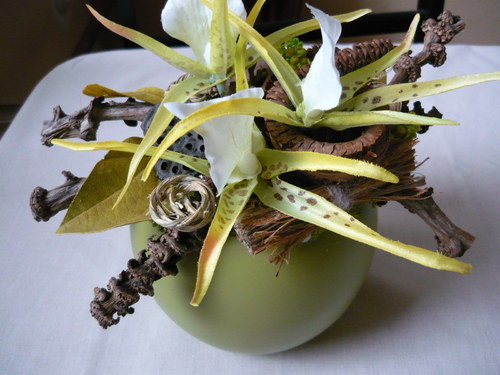 Divoká orchidea — foto 1
