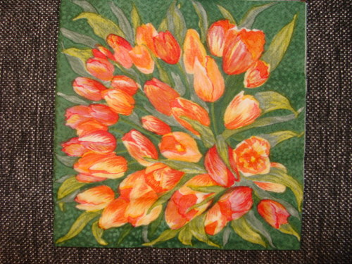 Kytice tulipánů