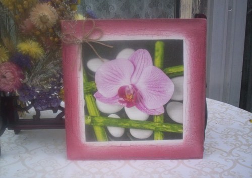Orchidej na kamenech