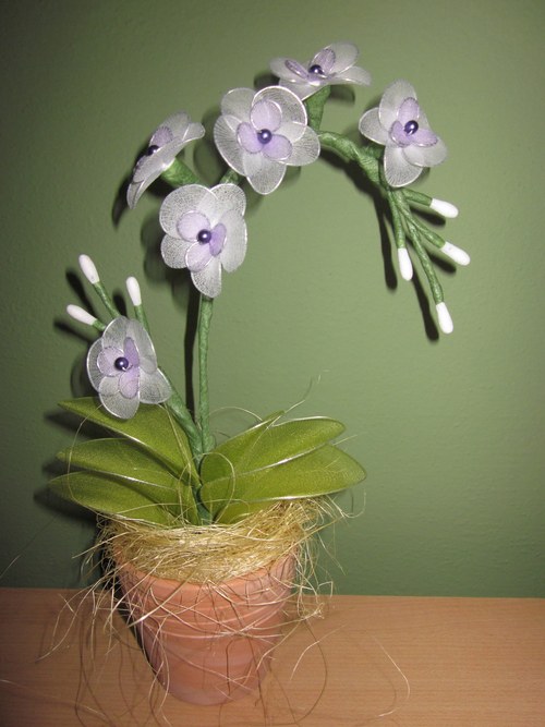 ***MINI ORCHIDEJ BÍLÁ*** — foto 1