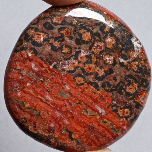 Jaspis leopard — foto 1