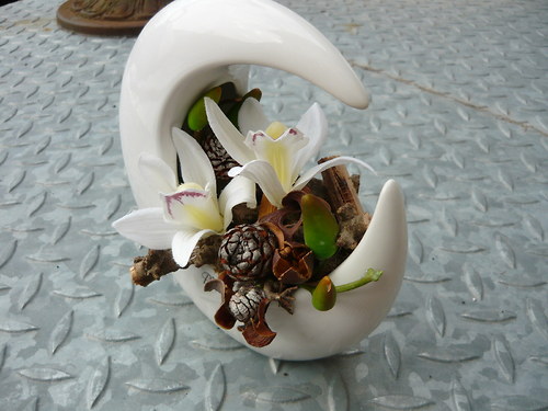 Miska Luana 18cm 2 — foto 1