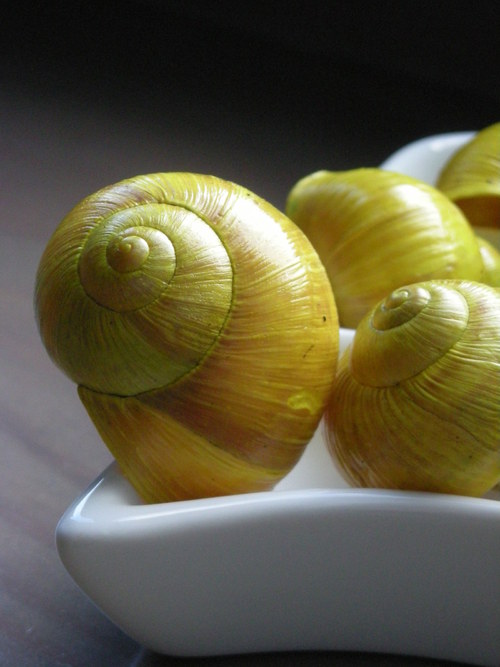 Ulity citronové — foto 1