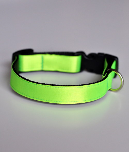 Obojek NEON zelený 25 - 35 cm — foto 1