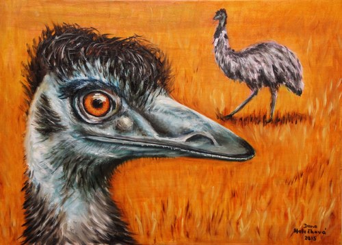 Emu hnědý - autorský arch