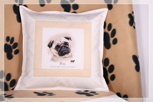 POLŠTÁŘE - CHLUPATÉ ŠTĚSTÍ - MOPS — foto 1