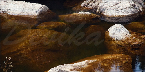 Tůň - 20x40