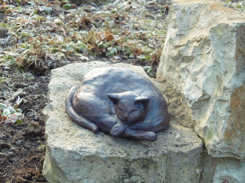 Kočička odpočívá — foto 1