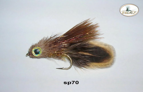 Sp70 — foto 1