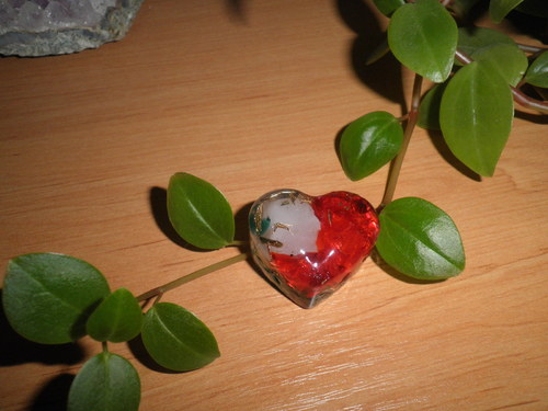 Venušin