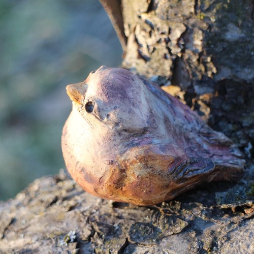 Ptáček - vrabčák — foto 1