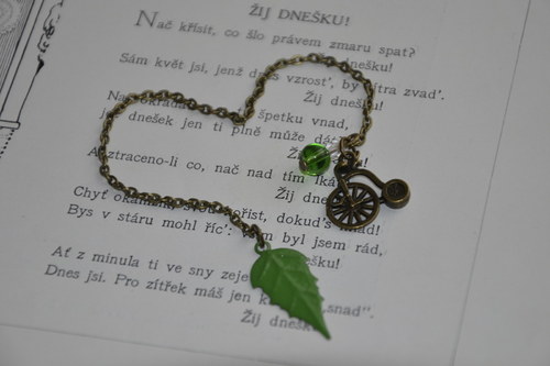 Strážce knihy — foto 1