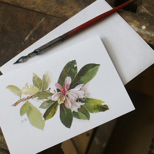 Přáníčko - Rhododendron 1