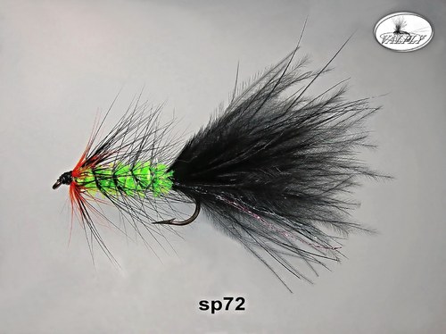 Sp72 — foto 1