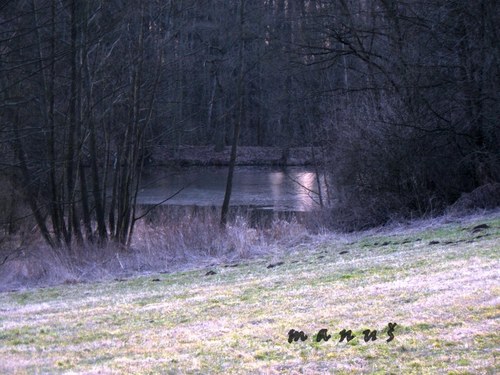 Hladina - fotografie