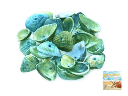 Mušličky modro-tyrkysové 1,5-2cm — foto 1