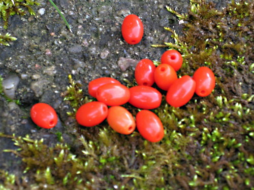 Skleněné oválky, olivky 1 cm. — foto 1