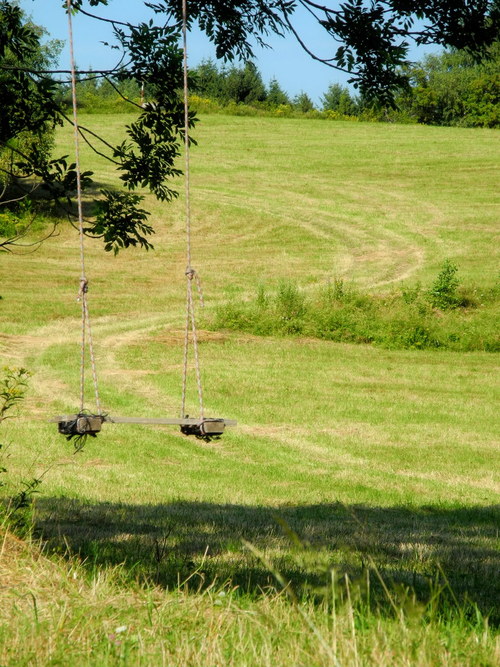 Na cestě ...